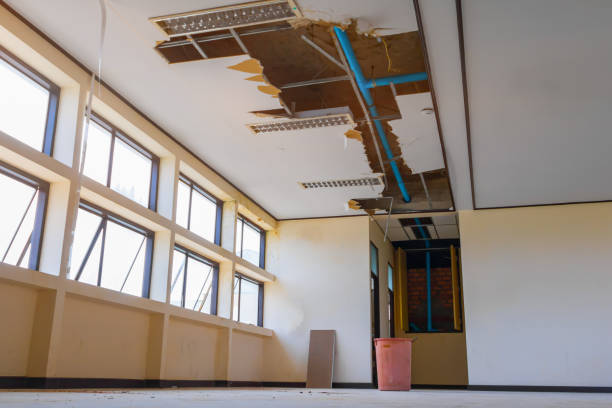 Best Water damage restoration specialists  in Horton, KS