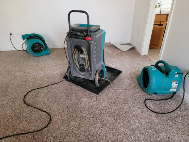Best Carpet water damage restoration  in Horton, KS