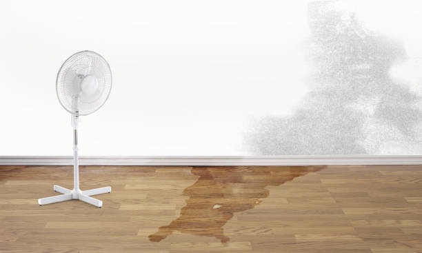 Best Water damage restoration near me  in Horton, KS