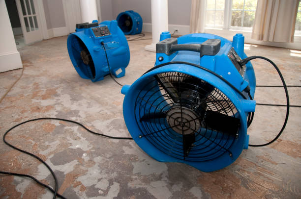 Best Basement water damage restoration  in Horton, KS