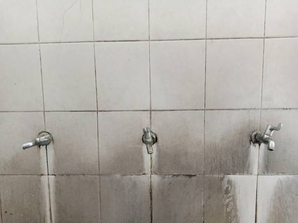 Best Sewage cleanup and water damage restoration  in Horton, KS