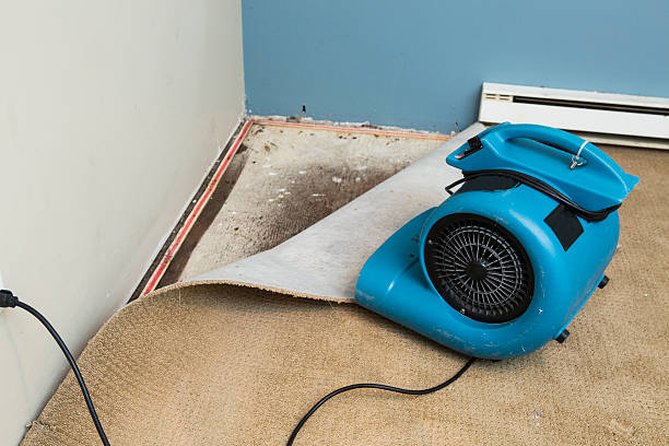 Best Ceiling water damage repair  in Horton, KS